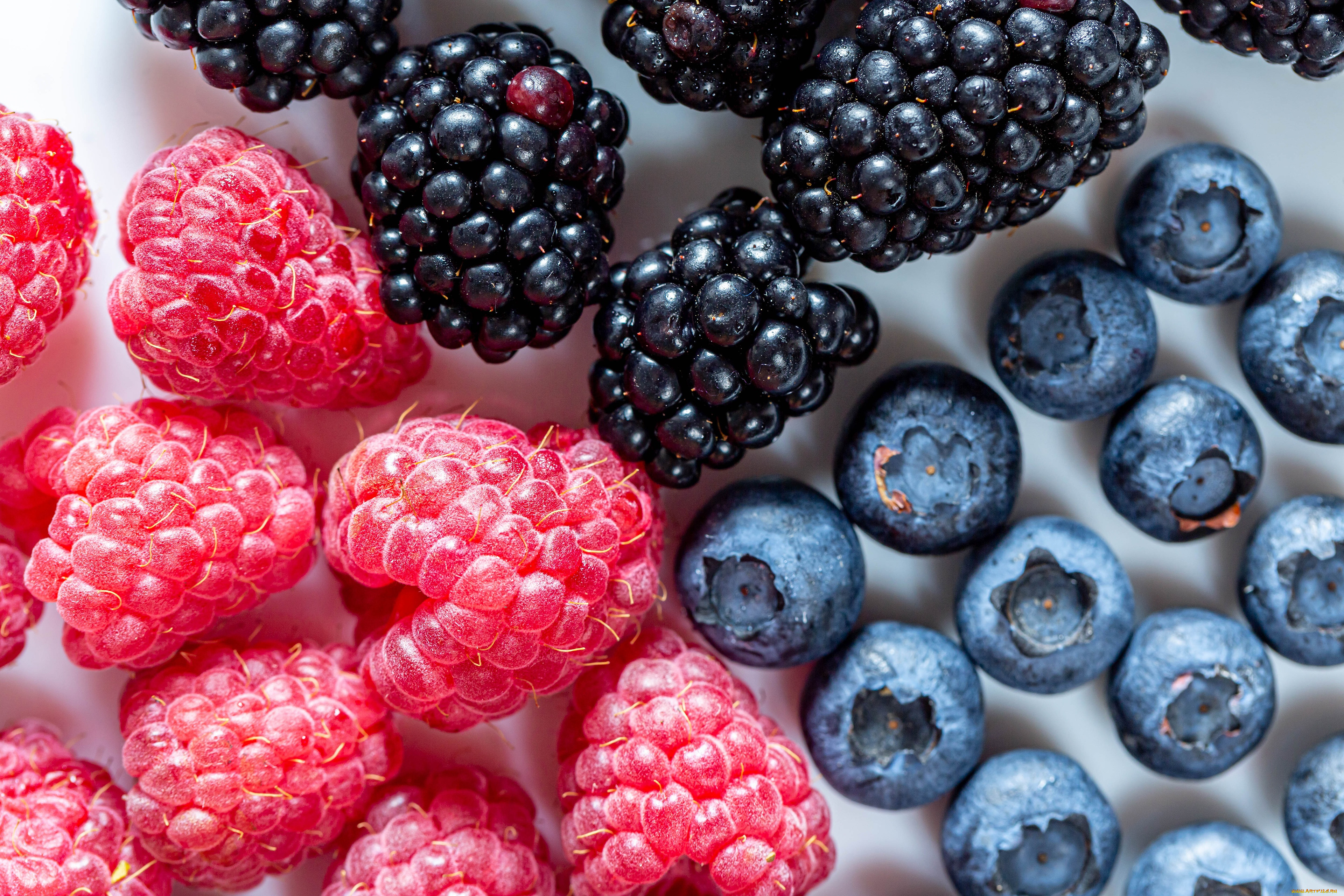 ���, ������,  �����, �����